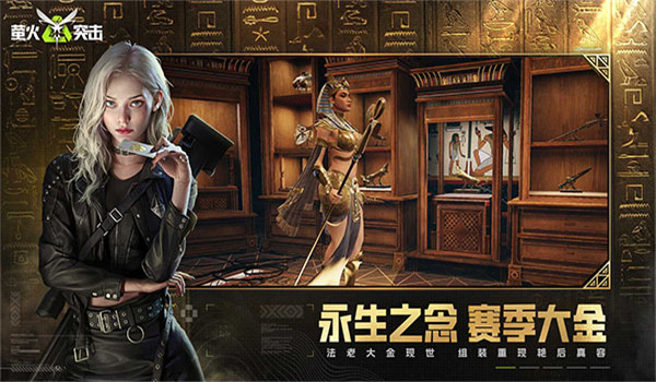 预览图4