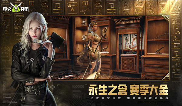 预览图4