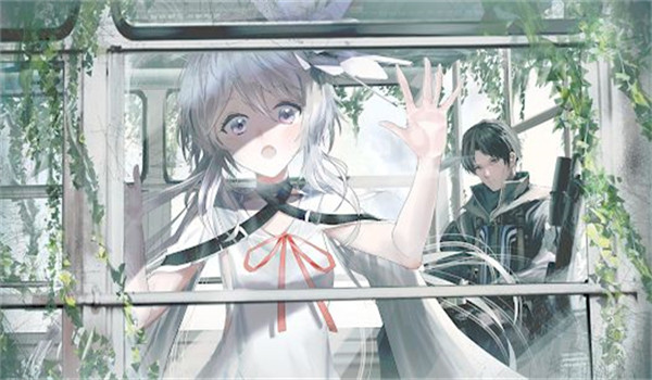 预览图4