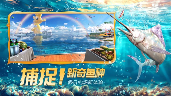 预览图4