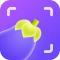 茄子水印相机免费版 v1.9.6.3