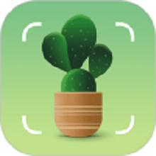 拍照识别植物软件 v1.1.3