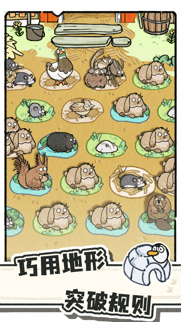 预览图3