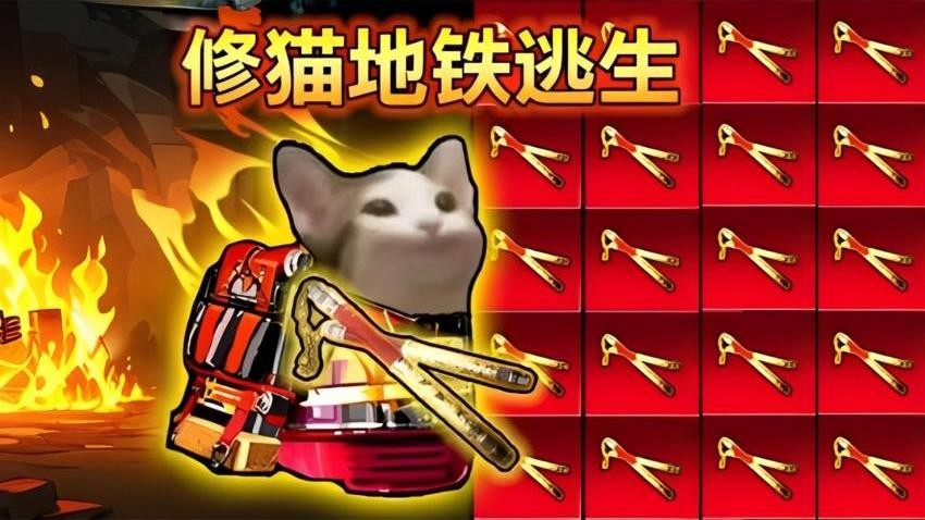 预览图1
