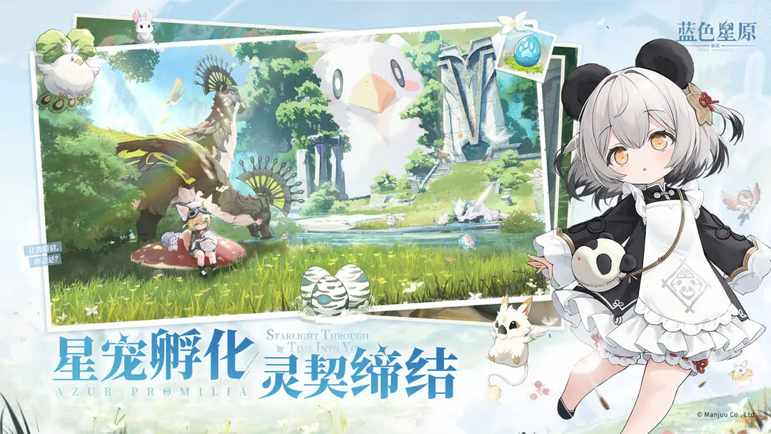 预览图2