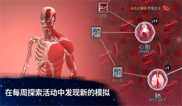 预览图4