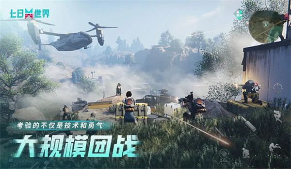 预览图2