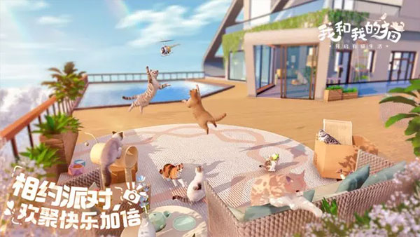 预览图1