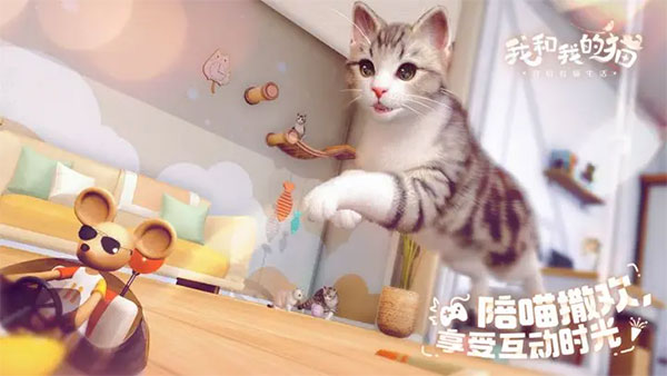 预览图3