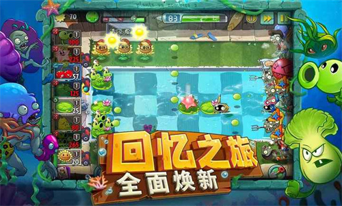 预览图2