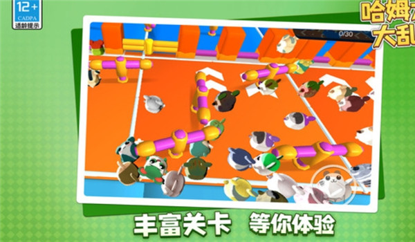预览图3