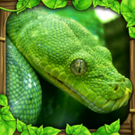 Snake Sim手游 1.5