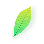 青叶看点app 1.0