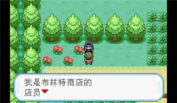 预览图3