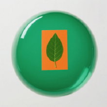 POP绿泡泡贴纸软件 v1.1