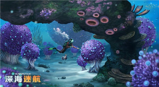 预览图3