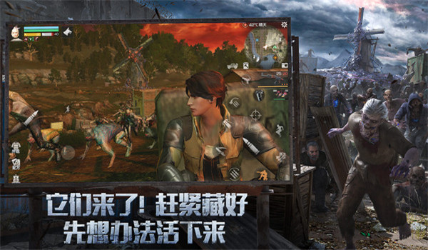 预览图3