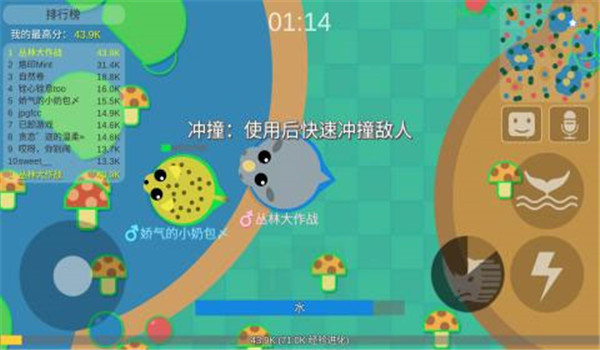 预览图2
