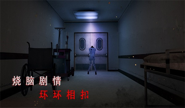 预览图4