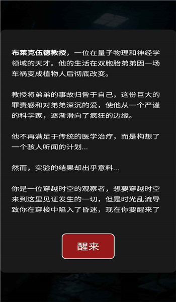 预览图4