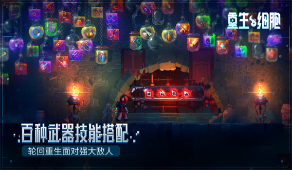 预览图2