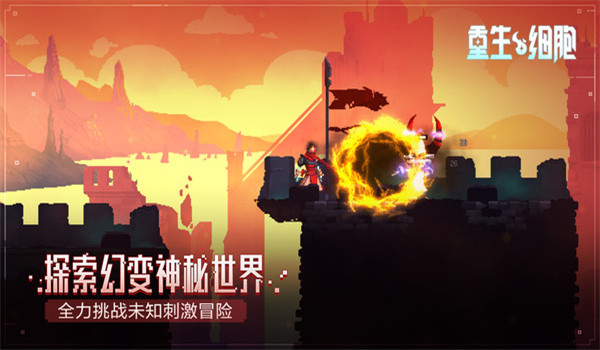 预览图1