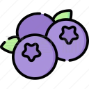 蓝莓音乐app v2.0