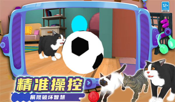 预览图4