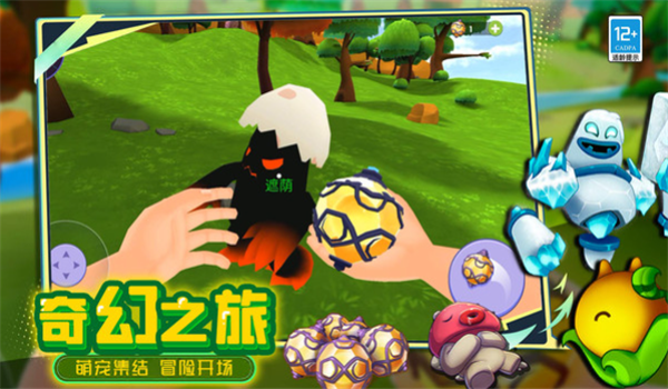 预览图4