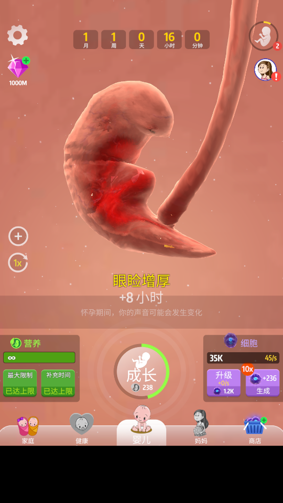 预览图4