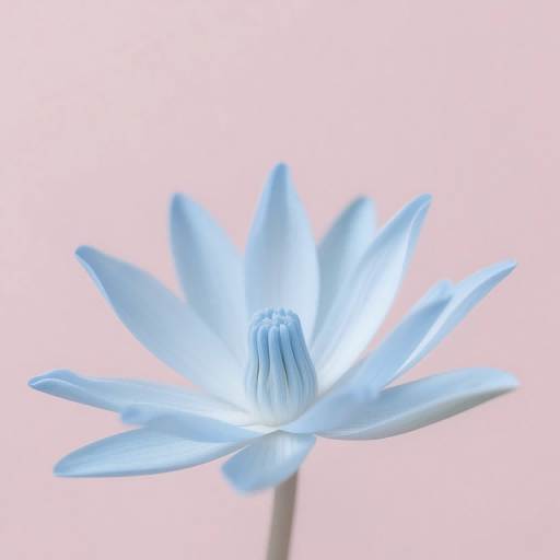 荷花app v1.1