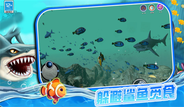 预览图1