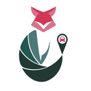 途狐管车app v6.1.1