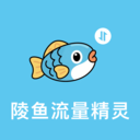 陵鱼流量精灵app v3.5.0