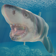 Shark最新版 v1.1.0