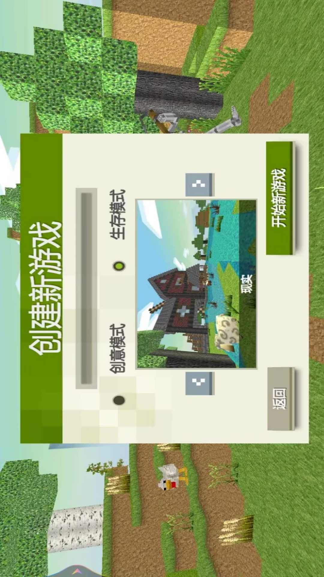 预览图4