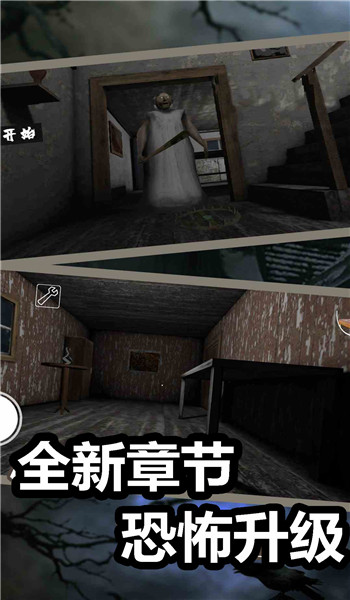 预览图4