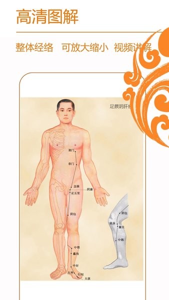 经络养生手机版最新v3.9.8截图1