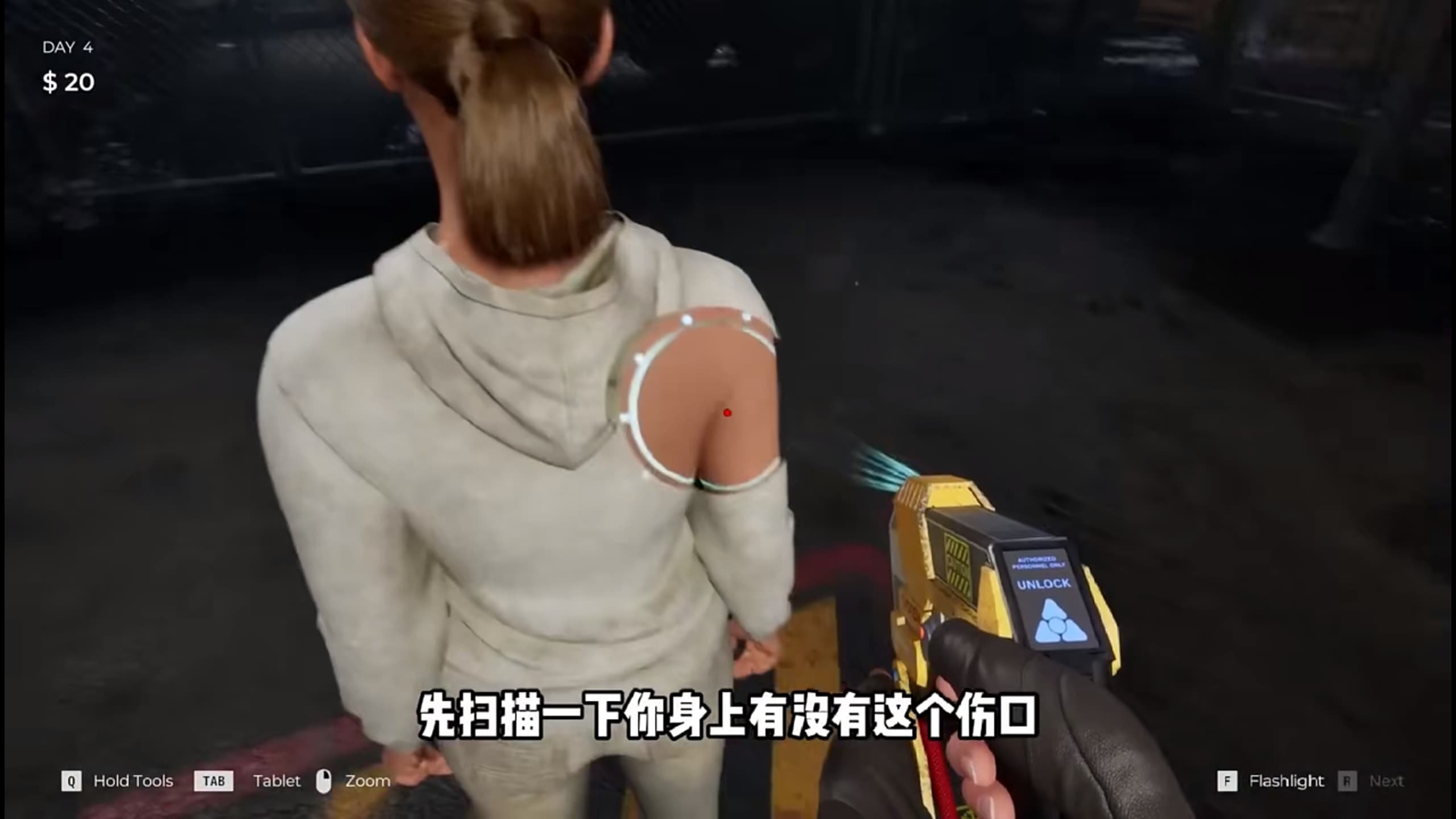预览图3