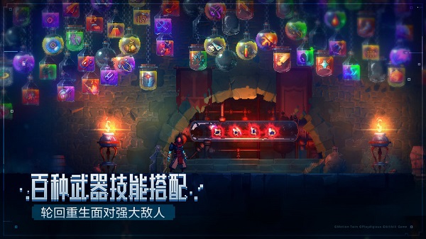 预览图2