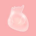 生命life v1.0