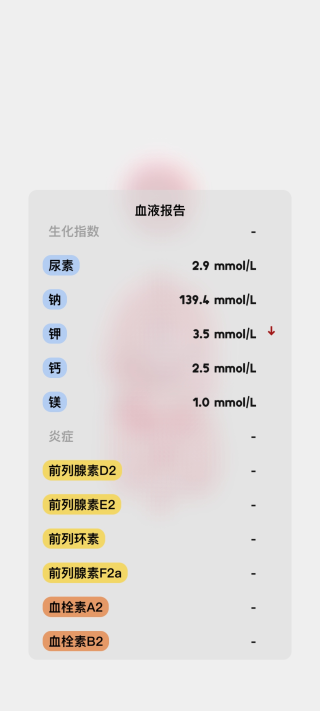 预览图5