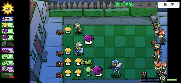 预览图2