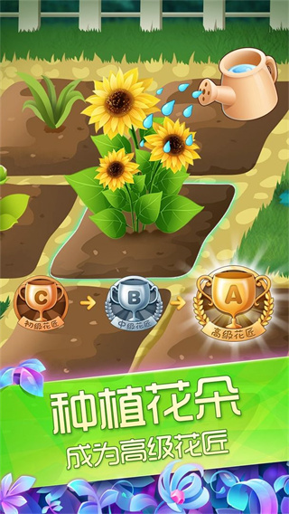 预览图4