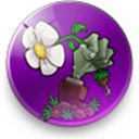 植物大战僵尸乐pad版 v1.0.0