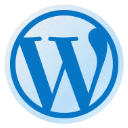 wordpress软件 v26.1