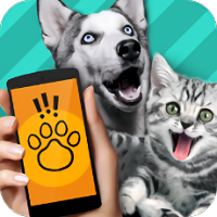 pet translator动物翻译器 v1.1