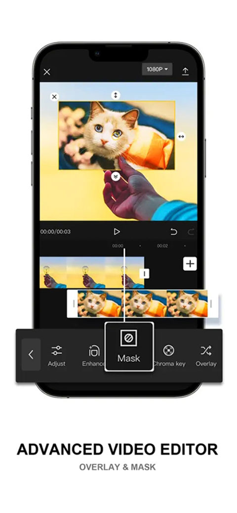 预览图3