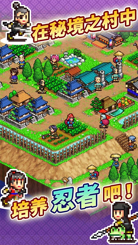 预览图3