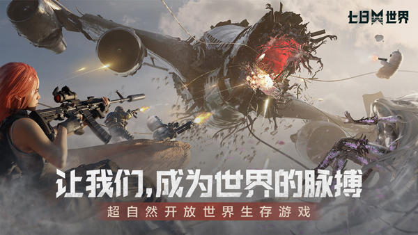 预览图1